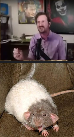 1748319828402.png