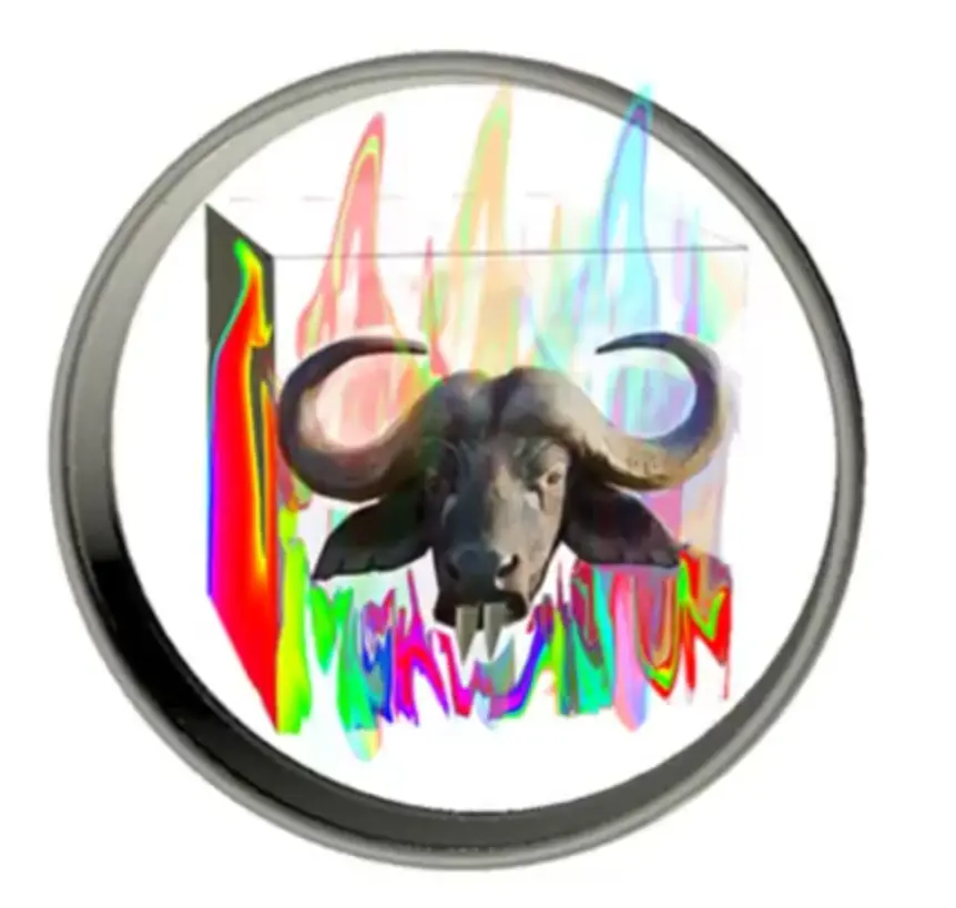 buffalo-cube.png.webp