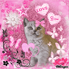 cute-kitten-cute-kitty.gif