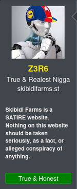 Screenshot 2025-04-16 at 22-23-37 Ugly Nigger - Lounge 96 Wiki Skibidi Farms.png