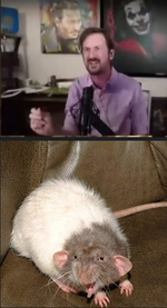 1748319828402.png